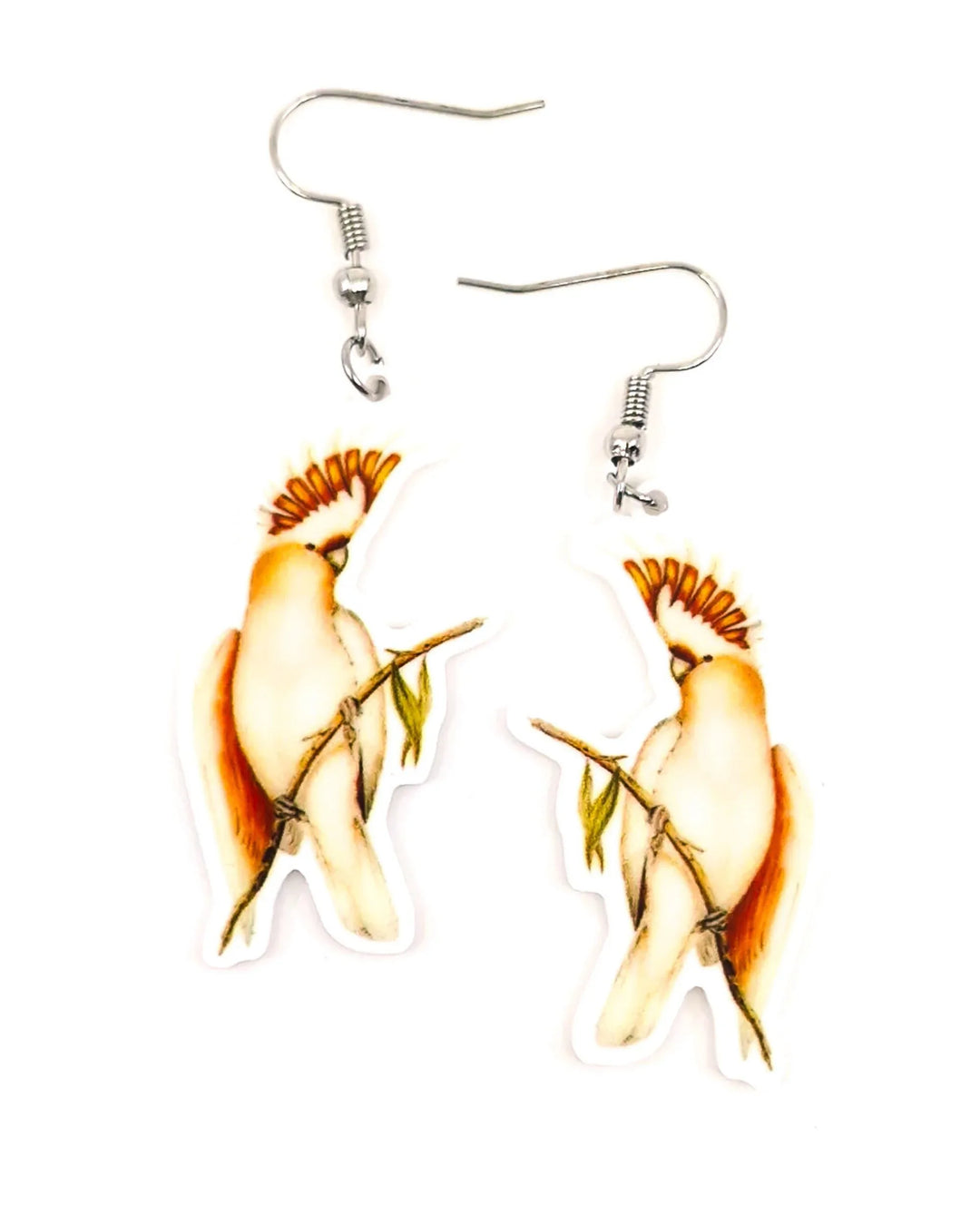 Corella drop earrings featuring illustrated bird design on stainless steel hooks Sunbaked Lizard Jewellery &amp; Gifts