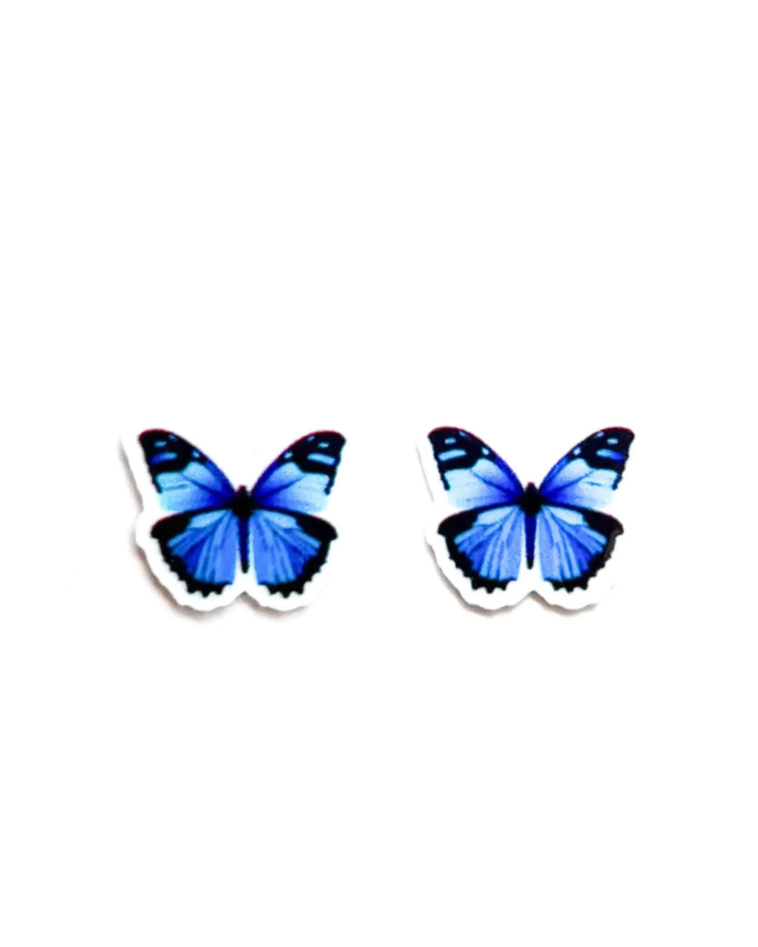 Blue Butterfly Studs Sunbaked Lizard Jewellery & Gifts