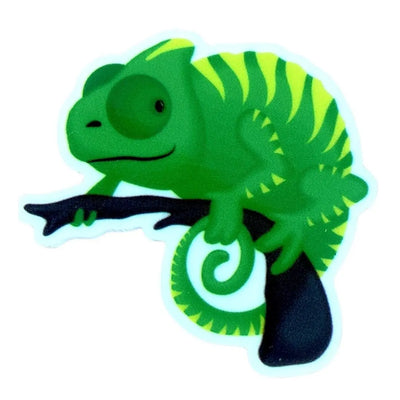Chameleon Magnet