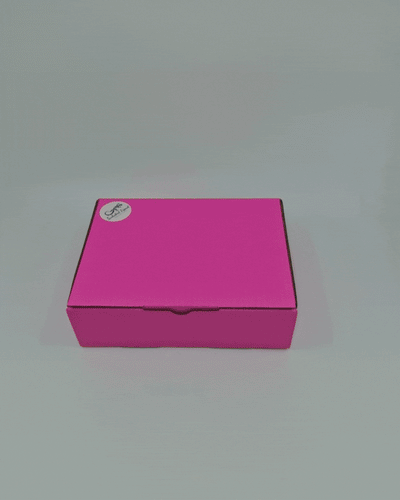 Gift Box - Aussie Theme Sunbaked Lizard Jewellery & Gifts