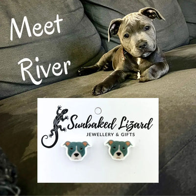 River the Blue Staffy Studs