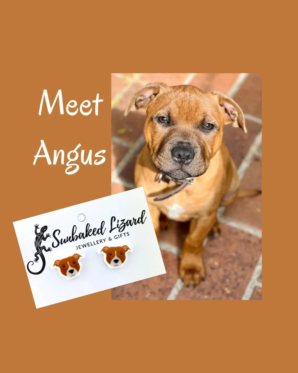 Angus the real red staffy puppy, the dog who inspired the Angus the Red Staffy stud earrings