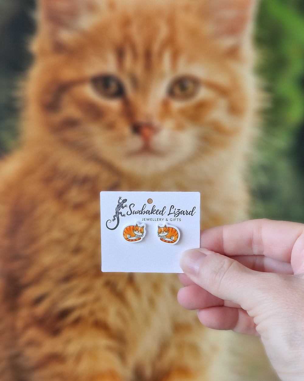 Ginger cat stud earrings displayed on Sunbaked Lizard cards, held in front of a real ginger cat.
