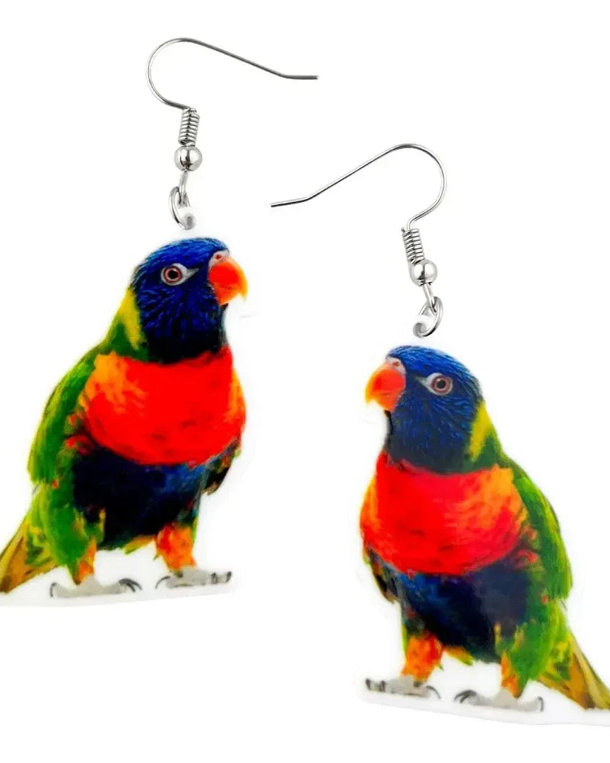 Rainbow Lorikeet drop earrings, colourful lorikeet acrylic charm on silver hooks