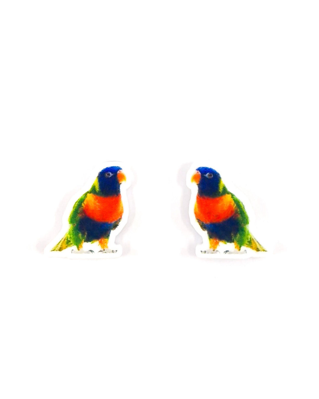 Rainbow Lorikeet stud earrings, colourful lorikeet acrylic charm