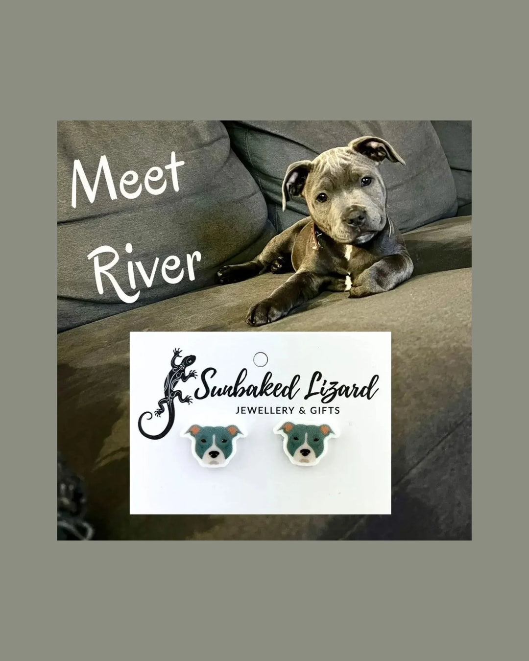 River the real blue staffy puppy, the dog who inspired the River the Blue Staffy stud earrings