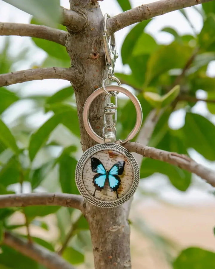 Ulysses Butterfly Keyring Sunbaked Lizard Jewellery &amp; Gifts