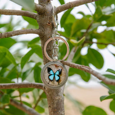 Ulysses Butterfly Keyring